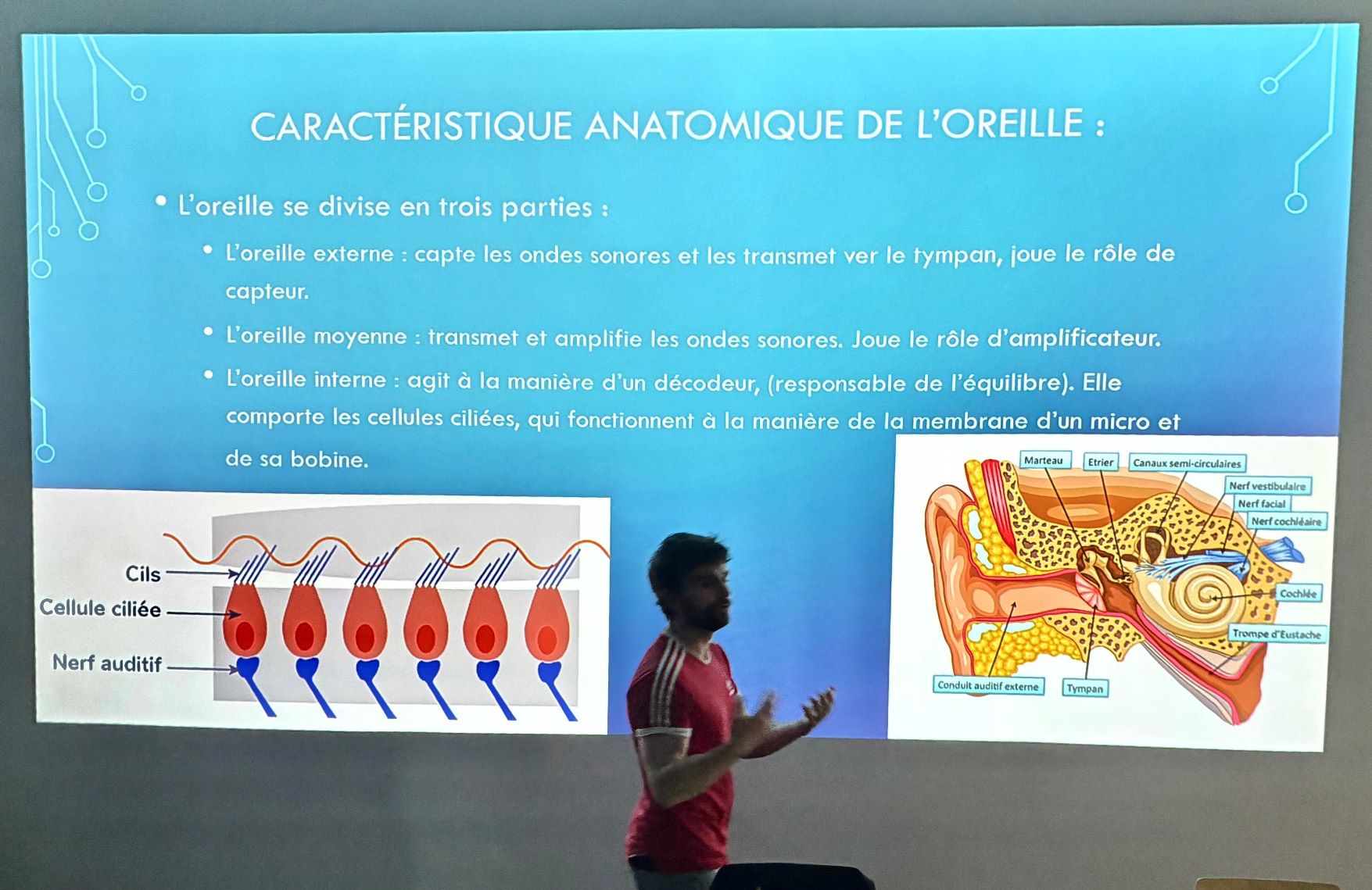 INTERVENTIONS EN CLASSE PRÉVENTION DES RISQUES AUDITIFS 